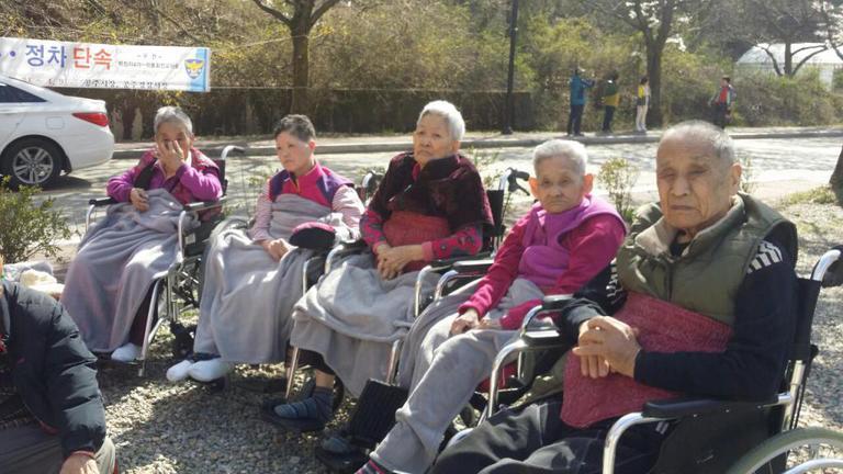 17년 4월 10일 벚꽃나들이